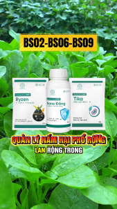 Combo Ngừa Nấm Bệnh BS06 Nano Đồng BS02 Tika BS09 Ryzen Cho Rau Màu Cây Trồng - Đốm Lá Héo Xanh Lở Cổ Rễ - Bác Sĩ Cây Xanh