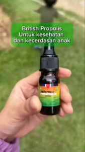 British Propolis Green Obat Amandel di Apotik Paling Ampuh