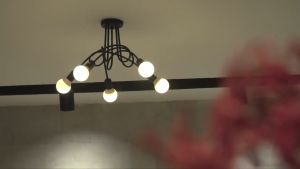 【Free Bulb】Modern Ceiling Light 3 /5Head Ceiling Lamp restaurant Nordic Living Room Bedroom Lighting fixtures Ceiling lamps