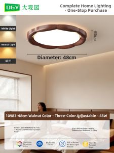 DGY | Retro Modern Style Main Ceiling Light 412K