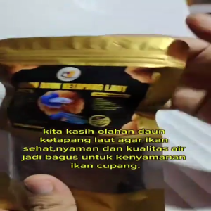 OLAHAN DAUN KETAPANG LAUT HASIL OLAH FERMENTASI WAJIB UNTUK IKAN CUPANG DAN CHANA