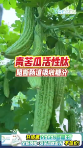 Hishin Regen断糖素 Serbuk Peptida Peria 日本苦瓜肽有机小麦草 【100%  Authentic】