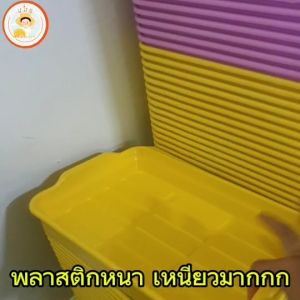 เส้นผ้า ถาดเพาะเมล็ด ถาดเพาะต้นกล้า พลาสติกหนา เหนียว เกรด A ขนาดพอดีกับ ฟองน้ำ ปลูกผัก ไฮโดรโปนิกส์