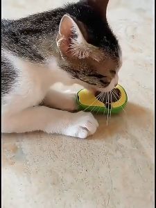Catnip Ball Toy Crab Avocado Mainan Rumput Kucing Tempel Dinding Catnip Kucing Anti Stress Catnip Ball Bola