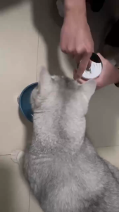 430g Cat Pure Natural Organic Wet Food Canned Food Goodest For Kitten Weight Gain Wet Food In can