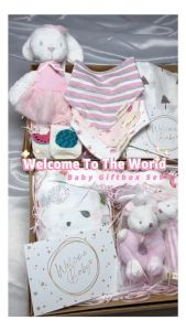 Welcome To The World Baby Giftbox Set (Random Design)