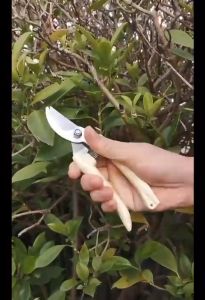 Gunting Dahan Ranting Bunga Tanaman Gunting Alat Berkebun Potong Tanaman Pruning Shears Serbaguna