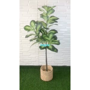 Pohon Hias Tanaman Artificial Bahagia X3 T140 Latex Cover Pot Eceng Gondok: Dekorasi Kantor Aesthetic