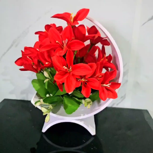 Tanaman Hiasan Minimalis & Tanaman Pajangan Ruangan