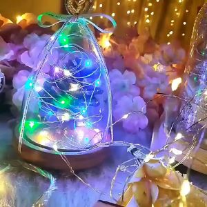 (Battery Included) Raya 30 LED 3 Meters Light String Fairy Lights 3 Modes Copper Wire Lamp Indoor and Outdoor Decorative