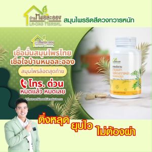 (ของแท้ 100%) Rid Herbs Balm ยาบรรเทาริดสีดวง สมุนไพรริดสีดวง บ้านหมอละออง จำนวน 2 กระปุก แถมฟรี บาล์มริดเฮิร์บ 1 กระปุก