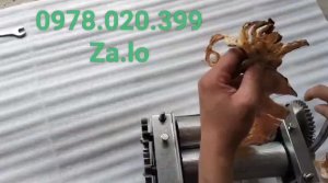 Máy ép mực bông tơi cán cá đuối quay tay