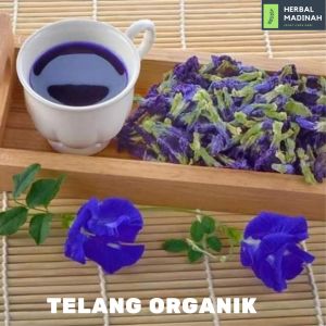 Teh Bunga Telang Organik imun tubuh alami
