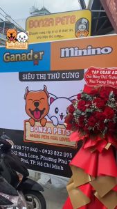 Novo Pet Chó Bao 20kg - Thức ăn hạt cho Chó ( Hỏa Tốc)