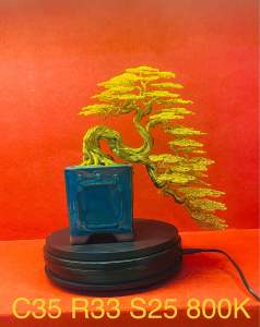 cây bon sai uốn thủ công cây cảnh nghệ thuật cây bon sai dây đồng