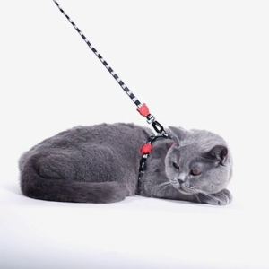 Zee.Cat x FARM RIO l Cat Harness + Leash Sets