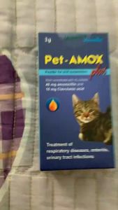 PET AMOX PLUS hết tiêu chảy hô hấp giúp lành vết thương ở chó mèo (VMD) - lọ 3g