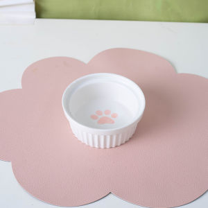 VOA | Pet-Friendly Cat & Dog Food Bowl