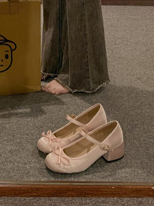 Fairy Style French Knot Mary Jane Shoes Womens 2025 New Autumn Versatile Retro Thick Heel Butterfly Single Shoes