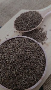 Jinten hitam jinten rempah jinten bumbu tradisional