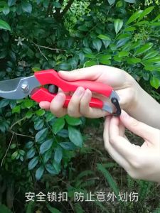 🍁DE Xian 🍁Stainless Steel 903 Garden Scissor / 🍁高级不锈钢枝剪