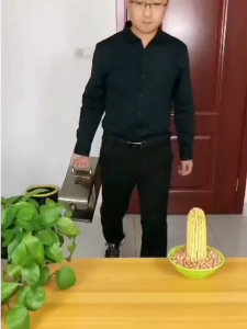 Home-use small-scale oil extraction machine - fully automatic peanut and sesame oil extractor with both heating and cooling functions. High-efficiency oil extraction.
