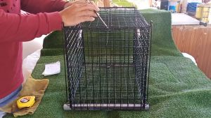 กรงดักสัตว์อเนกประสงค์ ดักแมวหรือสัตว์อื่นได้หลายชนิด กว้าง 32 เชน ยาว 50 เชน สูง 36 เชน แข็งแรง ใช้งานได้สูง 3 ปี