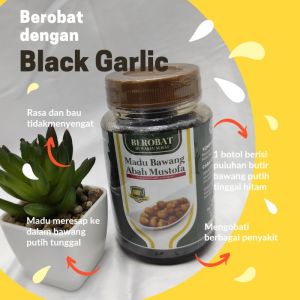 Abah Mustofa Black Garlic Madu Bawang Lanang Premium