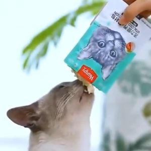 Wanpy Cat Pouch Wet Food Snack 80g 顽皮猫用鲜封包湿粮 80g