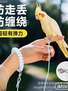 Ultra-Light Bird Leash for Outdoor Walking Tiger Skin Canaries Small Sun Birds Specialized Parrot Lead Rope Pet Supplies