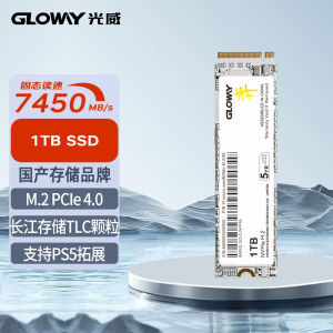 Gloway Yi Series 512g 1t 2t Solid State Drive SSD M.2 PCIe4.0 for PS5 Laptops Desktops High Speed Storage Computer Hardware