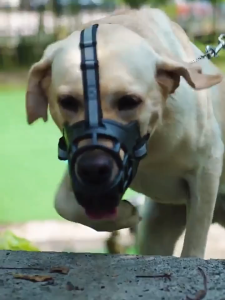 Lovinland New Dog Muzzles Pet Soft Barking Silicone Dog Mouth Cover Anti Bark Bite Muzzle for Small Medium Dog Pet Supplies Accessories