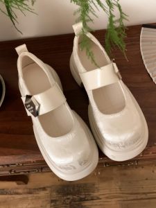 New Chinese Style Thick Heel Loafers Womens Spring Summer New Retro Embroidered Print Mary Janes Fashion Single Shoes