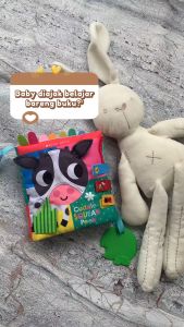 Cuddle Squeak Peek Cloth Book (buku kain bayi interaktif / interactive baby softbook) [Scholastic]