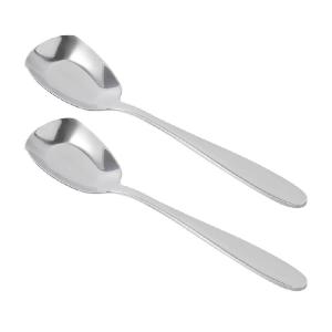 Stainless Steel Spoon Set 2 Pieces