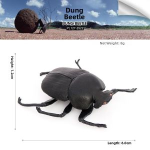 Educational Beetle Dung Beetle Toy