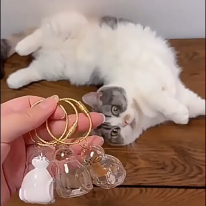 kotak penyimpanan bulu kucing liontin Gantungan kunci mobil dan tas peringatan Gantungan Kunci Bulu Hewan Peliharaan DIY