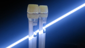 RAYHAYES Wireless Microphone UHF Rechargeable Dynamic Microphone for Karaoke Party Present