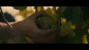 Domaines Ott Chateau Romassan Rose Coeur de Grain 2021 750ml 13% Rose Wine