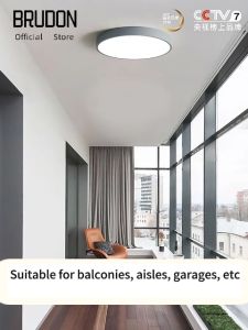 BRUDON ceiling lights modern design Indoor Outdoor Home 12w 18w 24w 36w motion sensor led lights Human body induction sound control induction radar induction ceiling light LED induction lamp for corridor stairs and hallway lights