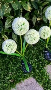 Panduan Lengkap Mengenai Lampu Taman Solar Tenaga Surya & LED Outdoor