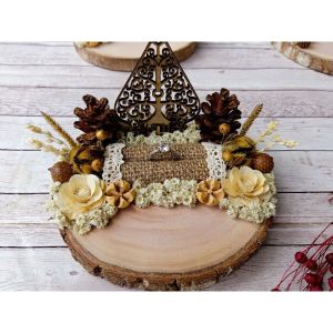 Tempat cincin gunungan