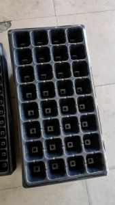 10PCS New Seedling Tray Strength Seed Plant Container Flower Pot 32/72/128 Holes Garden Trays