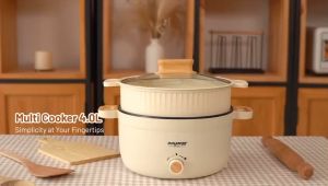 Hanabishi Multi Cooker Pot with Steamer 4L HA1338