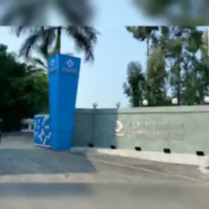 High Quality [ Spot inventory ]  Body oil spa Private Couple Lubrication Scraping Whole Body Massage Essential Oil Couple Wash-Free Massage Oil