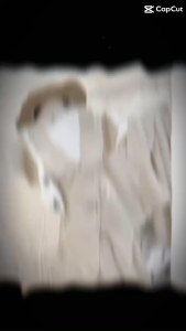 L_ Set thiết kế đồ công sở nữ set tiểu thư thanh lịch áo Mango đính nút bọc có lót tay hến tà chéo dài kèm quần dài