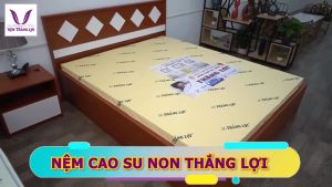 (1 Tặng 1) - Nệm Cao Su Non Gấp 3 Thắng Lợi Chính Hãng- CSN American gấp 3  - ĐỦ SIZE  -  QUÀ Tặng drap Cotton Cao Cấp  - Giao Hàng Nhanh Toàn Quốc Nệm Foam Chống Tĩnh Điện - Lazada