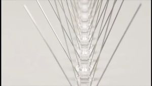 50cm Bird Spikes Bird Repellent Devices Outdoor of Stainless Steel for Fence Windowsill Roof Bird Deterrent Spikes