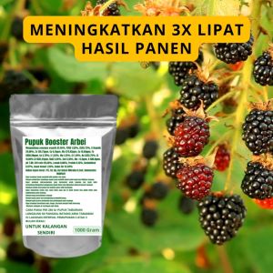 Pupuk Booster Arbei Pelebat Organik Cepat Berbuah Lebat Besar Anti Rontok Pembesar Arbei