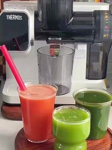 Thermos | Automatic Fruit and Vegetable Juice Extractor with Pulp Separation